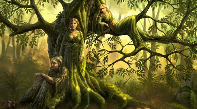 When is Your Birthday? This Is Your Tree And Your Soul