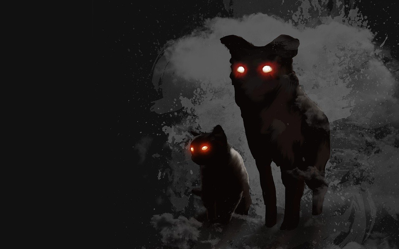 Cats and Dogs See Spirits and Feel Frequencies That We Don’t!
