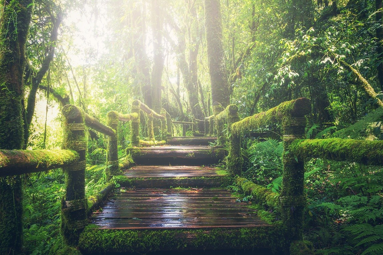 Psychology Test: The Chosen Path Will Reveal Your Personality In Relationships