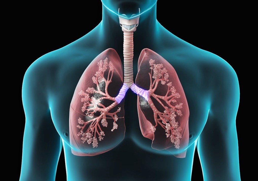 Chinese Taoist ‘Bone Breathing’ Technique Rejuvenates the Blood, Bones and Immune System, Reduces Stress