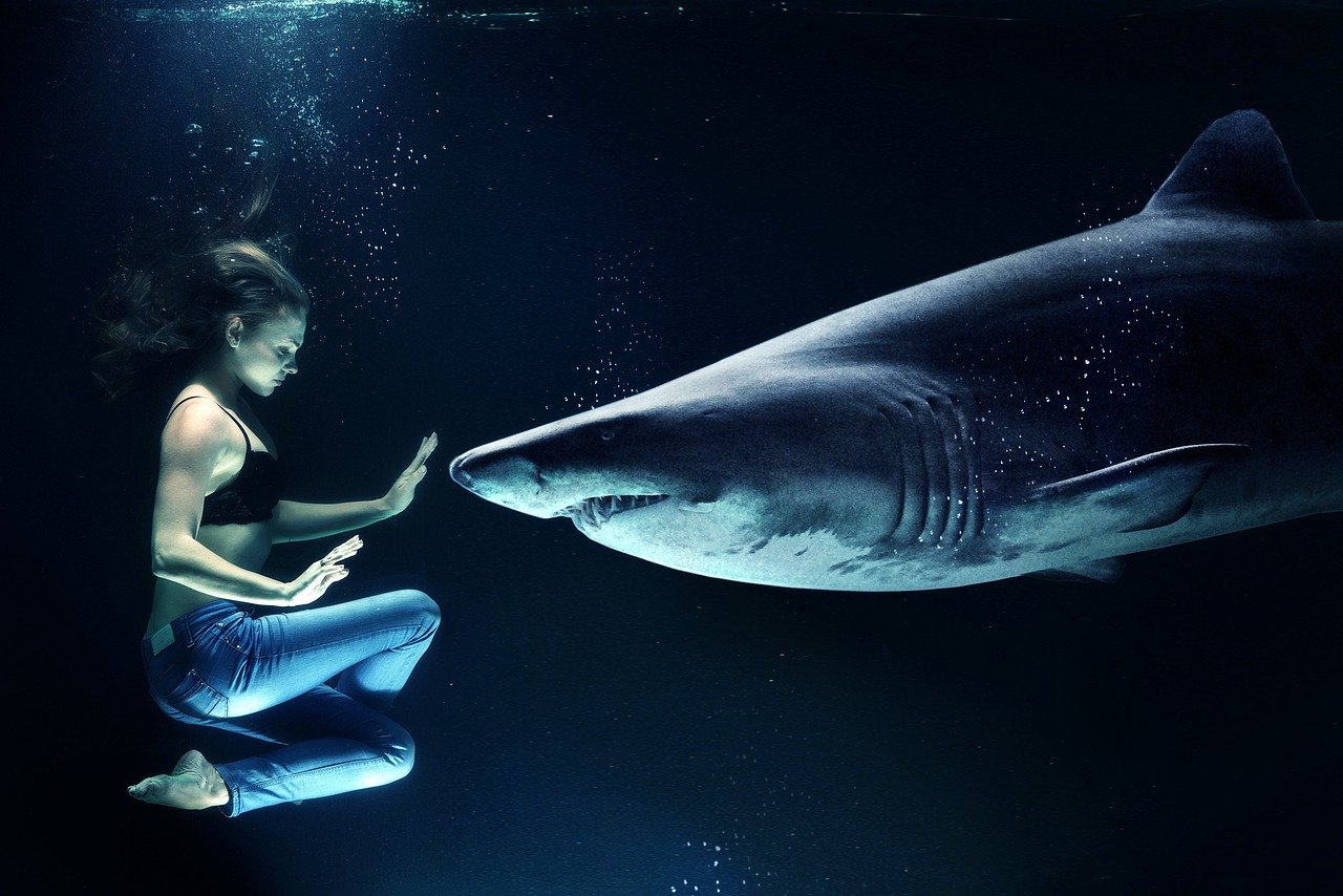 Zodiac Signs That Have Hyper Intuition And Won’t Tolerate Manipulation