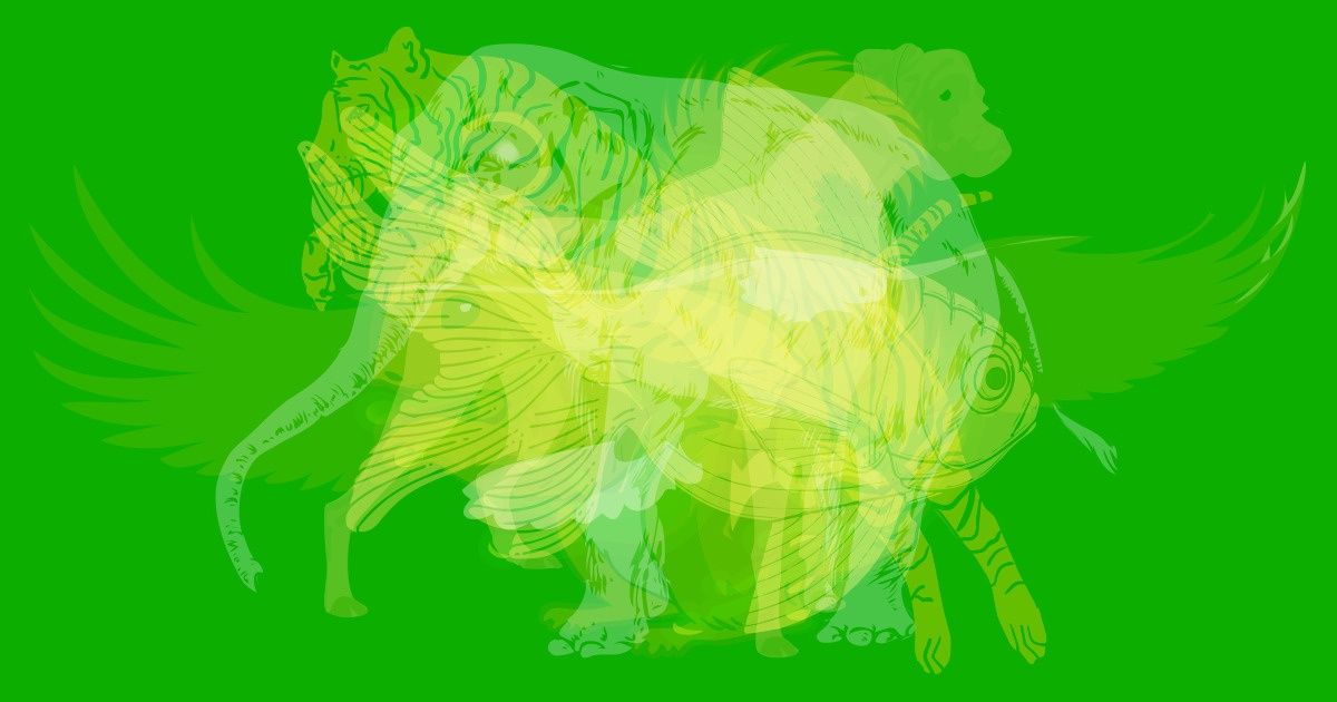 This Animal Test Reveals What Kind of Person You Are! Which Animal Did You See First?