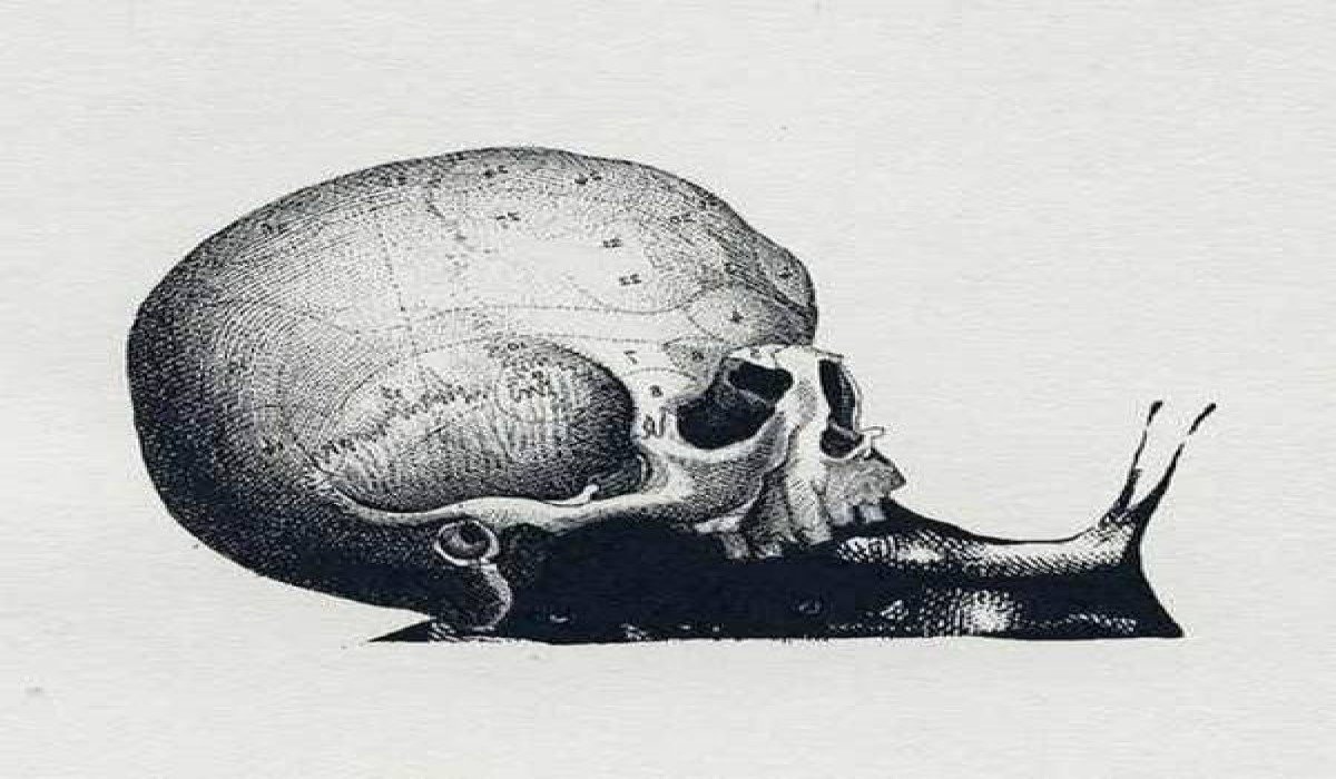 What Did You See First? This Visual Test Reveals Something Special About Your Personality…