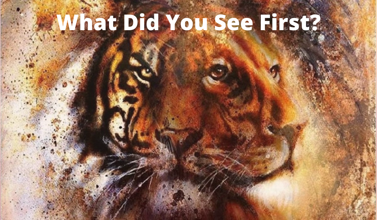 Which Predator Did You See First Discover Powerful Informations About